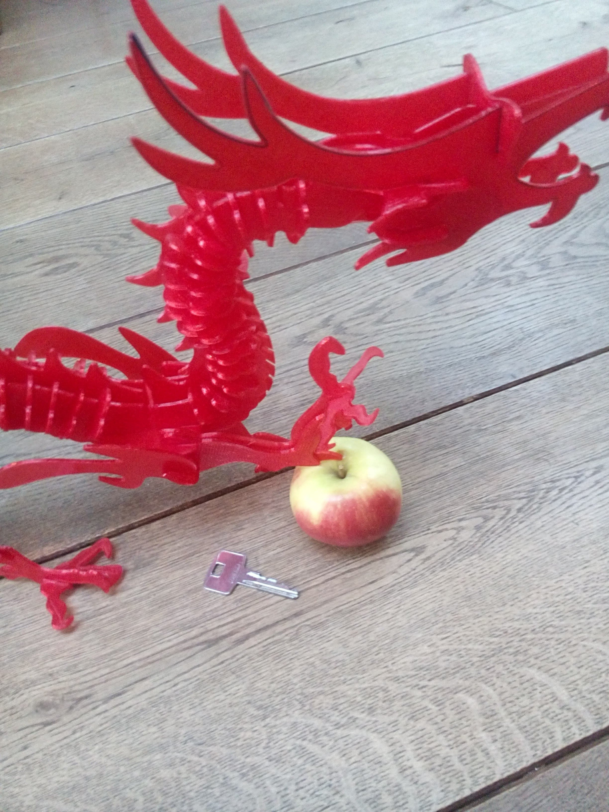 3D Printed 3D Printable Dragon Puzzleels_Meulendijks | Pinshape - Printable Dragon Puzzle