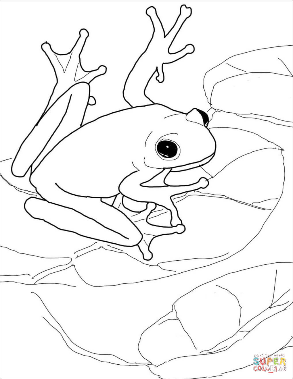 American Green Tree Frog Coloring Page | Free Printable Coloring Pages - Printable Frog Puzzle