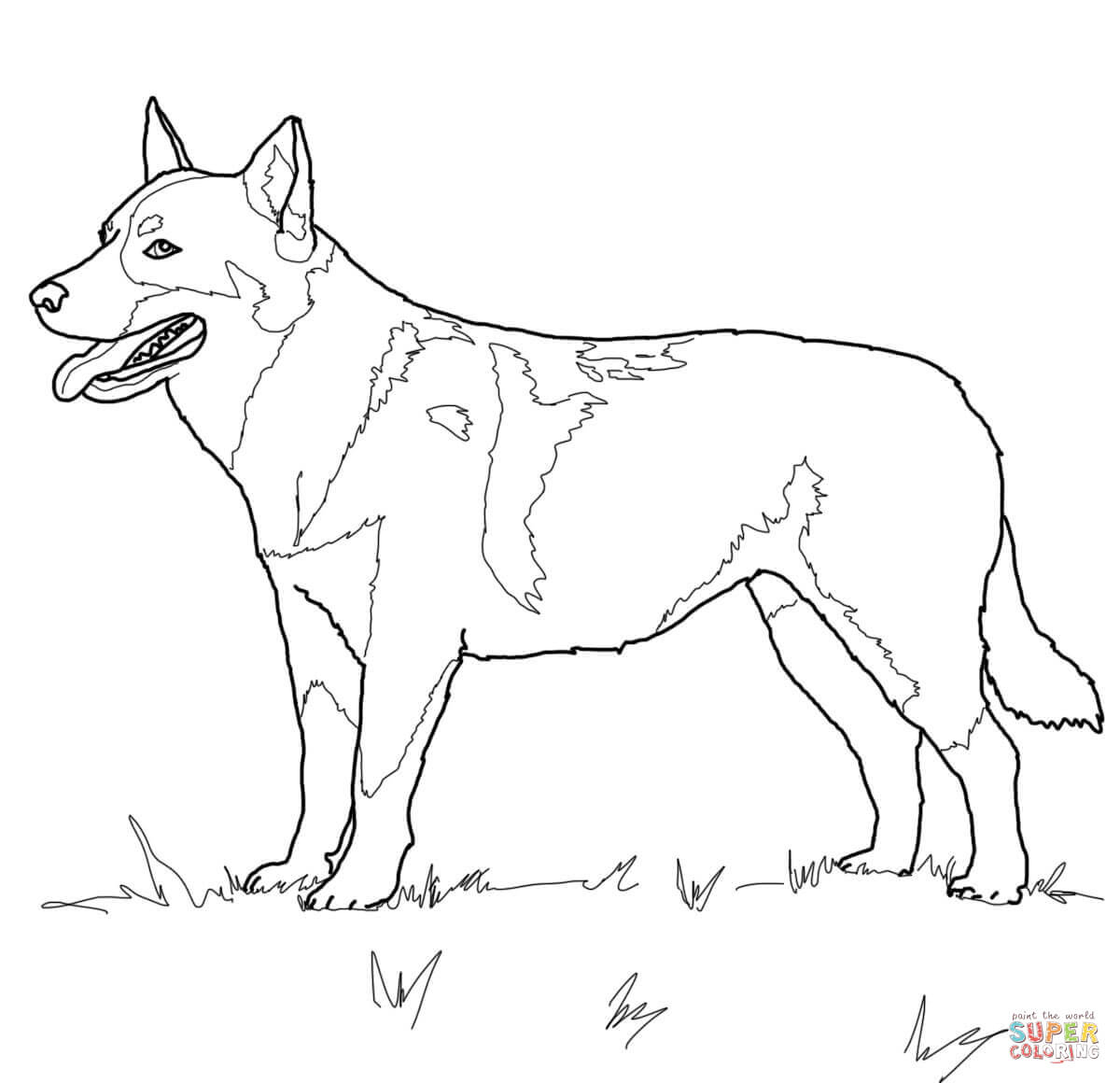 Australian Cattle Dog Coloring Page | Free Printable Coloring Pages - Free Printable Dog Puzzle
