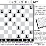 Bishop Chess Puzzle. More Puzzles On The Blog And Our Fb Page   Printable Chess Puzzles