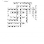 Branches Of Science Crossword Puzzle Worksheet   Printable Science Crossword Puzzles