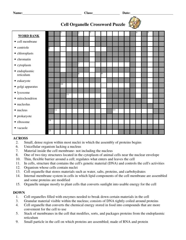 Printable Crossword #4