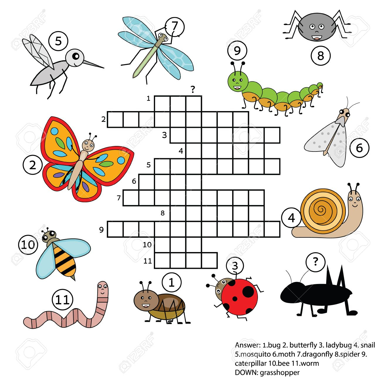 Crossword Educational Children Game With Answer. Learning Vocabulary - Insect Crossword Puzzle Printable