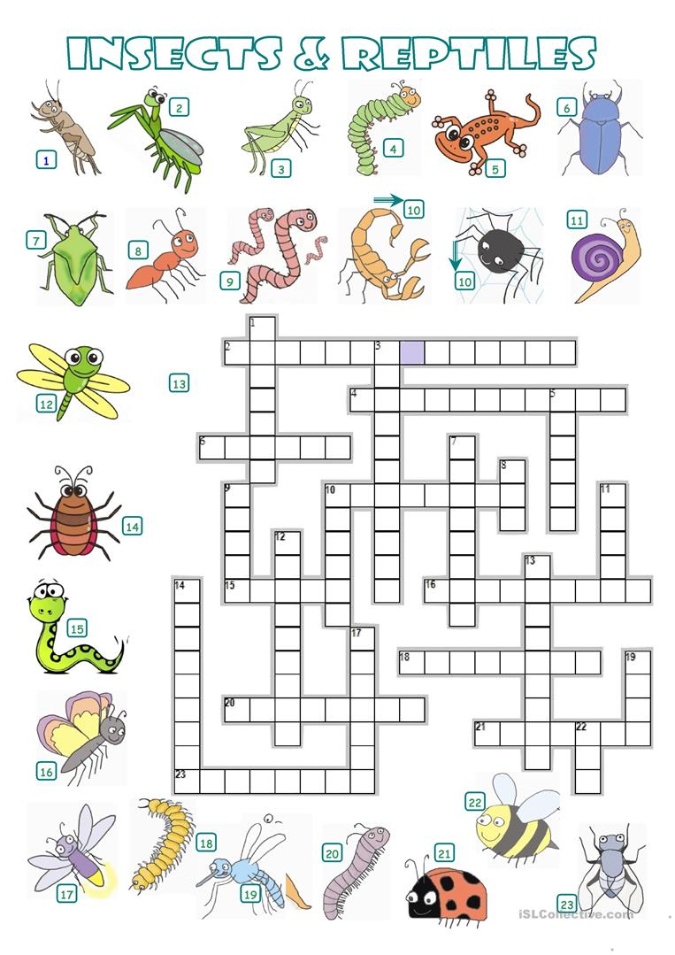 Crossword - Insects And Reptiles Worksheet - Free Esl Printable - Insect Crossword Puzzle Printable