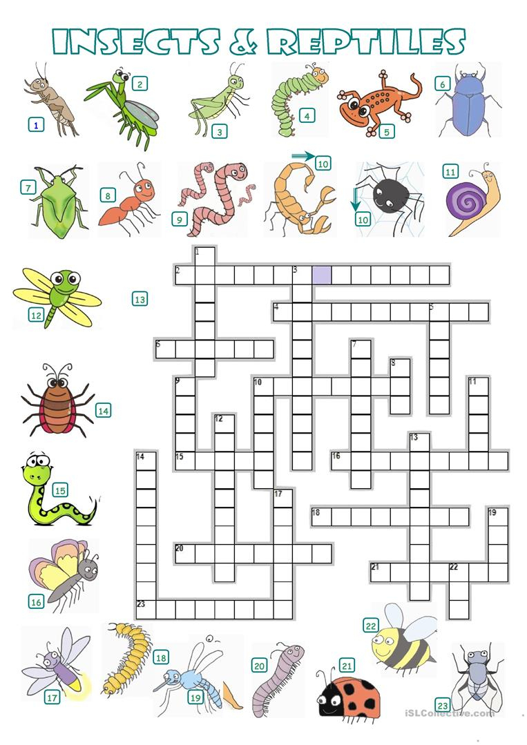 Insect Crossword Puzzle Printable - Printable Crossword Puzzles