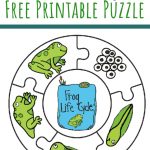 Frog Life Cycle Printable Puzzle   Views From A Step Stool   Printable Frog Puzzle
