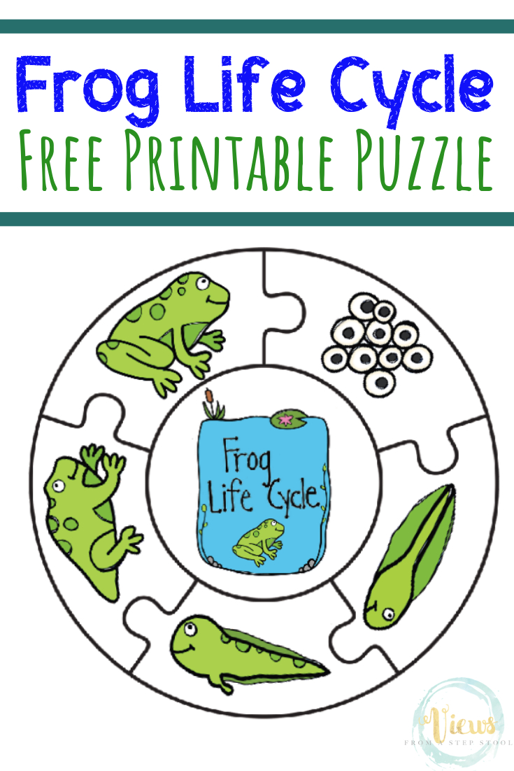 Frog Life Cycle Printable Puzzle - Views From A Step Stool - Printable Toddler Puzzles