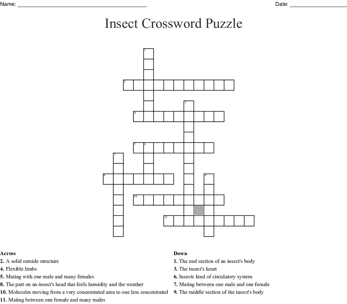 Insect Crossword Puzzle Printable Printable Crossword Puzzles