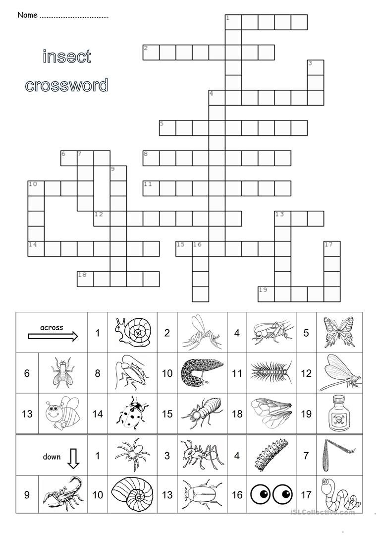 Hairy Insect Crossword - Insect Foto And Image In 2019 - Printable Laxcrossword