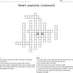 Heart Anatomy Crossword   Wordmint   Anatomy Crossword Puzzles Printable