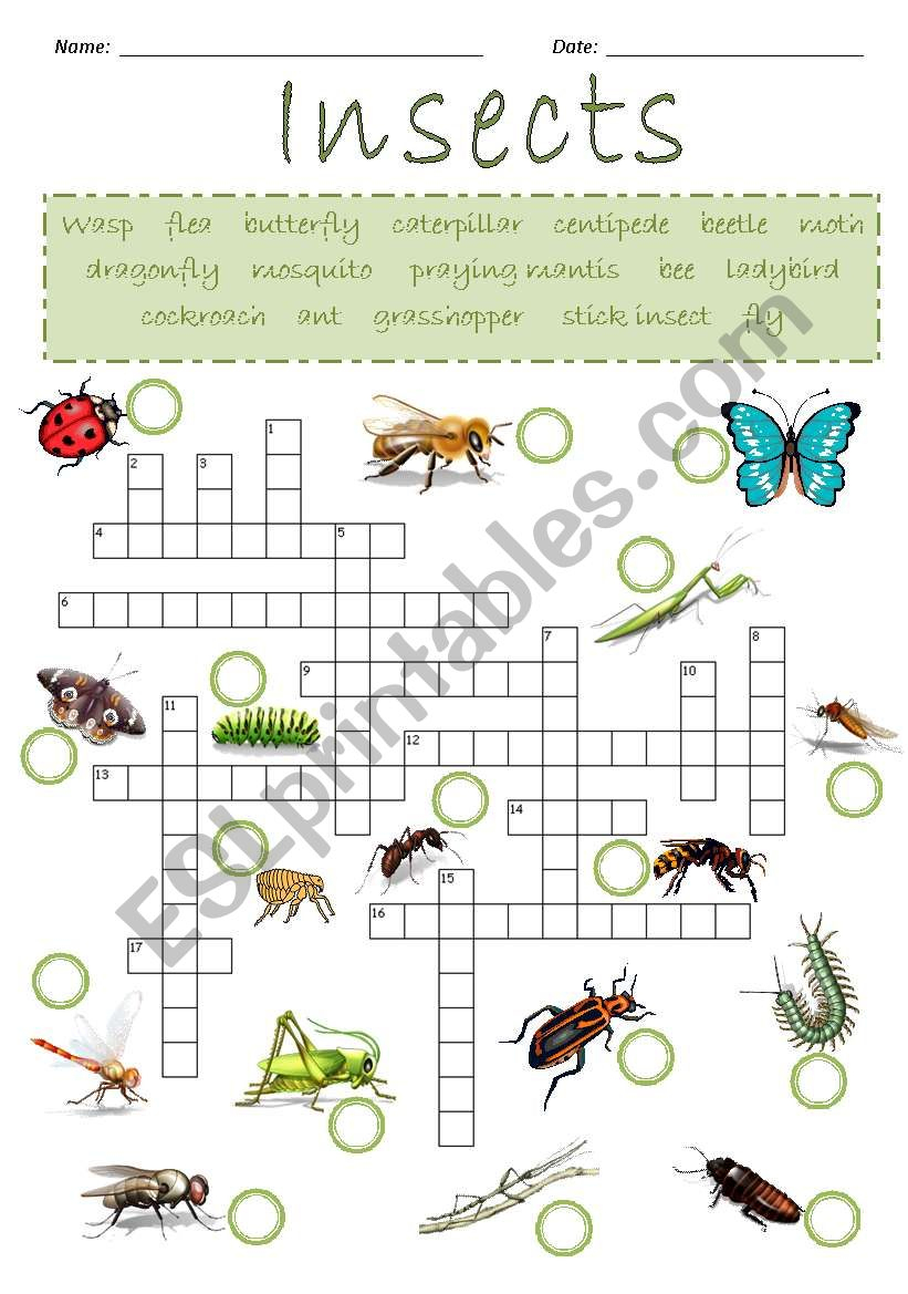 Insect Crossword Puzzle Printable | Printable Crossword Puzzles