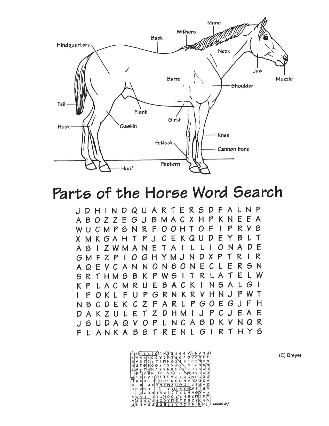 Printable Horse Crossword Puzzles Printable Crossword Puzzles