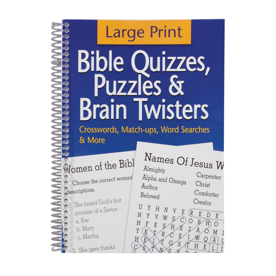 Large Print Bible Puzzle Book - Bible Puzzles - Walter Drake - Puzzle Print Reviews