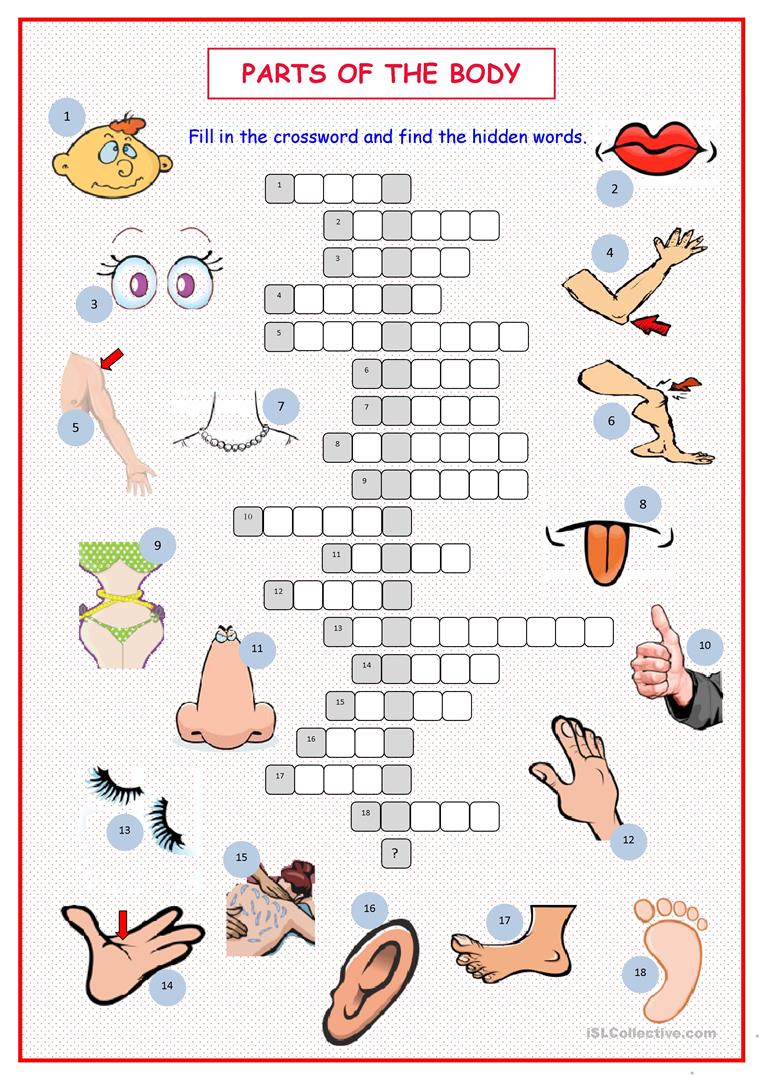 Parts Of The Body Crossword Esl Worksheet By Lorena Villalba Gambaran