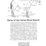 Parts Of The Horse Word Search … | Pony Camp | Horse…   Printable Horse Puzzle