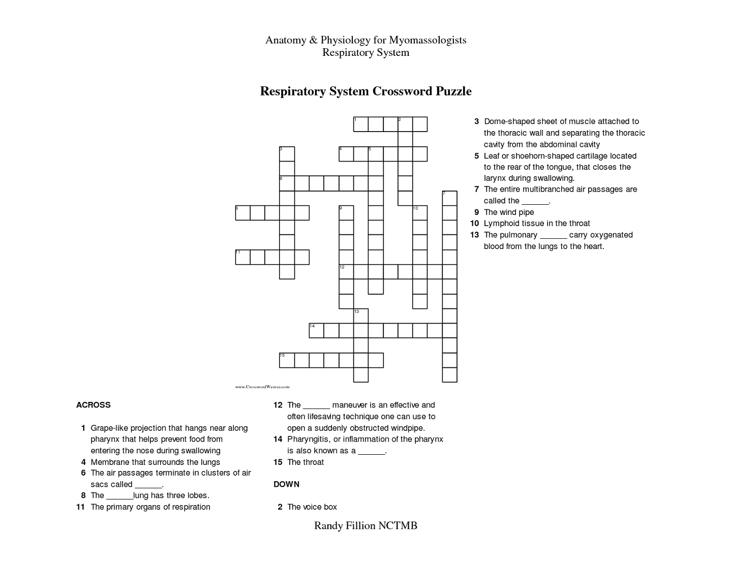 Respiratory System Crossword Puzzle | Activity Shelter - Anatomy Crossword Puzzles Printable