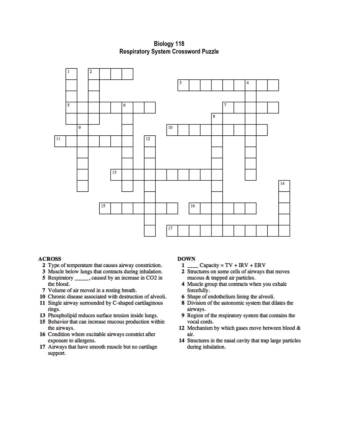 Respiratory System Crossword Puzzle | Educative Puzzle For Kids - Anatomy Crossword Puzzles Printable