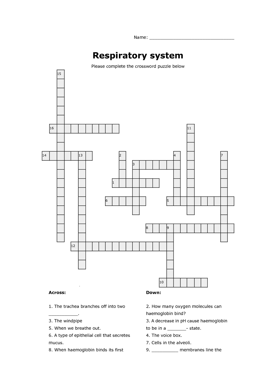 Respiratory System Crossword Puzzle | Educative Puzzle For Kids - Printable Buzzword Puzzles