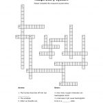Respiratory System Crossword Puzzle | Educative Puzzle For Kids   Respiratory System Crossword Puzzle Printable
