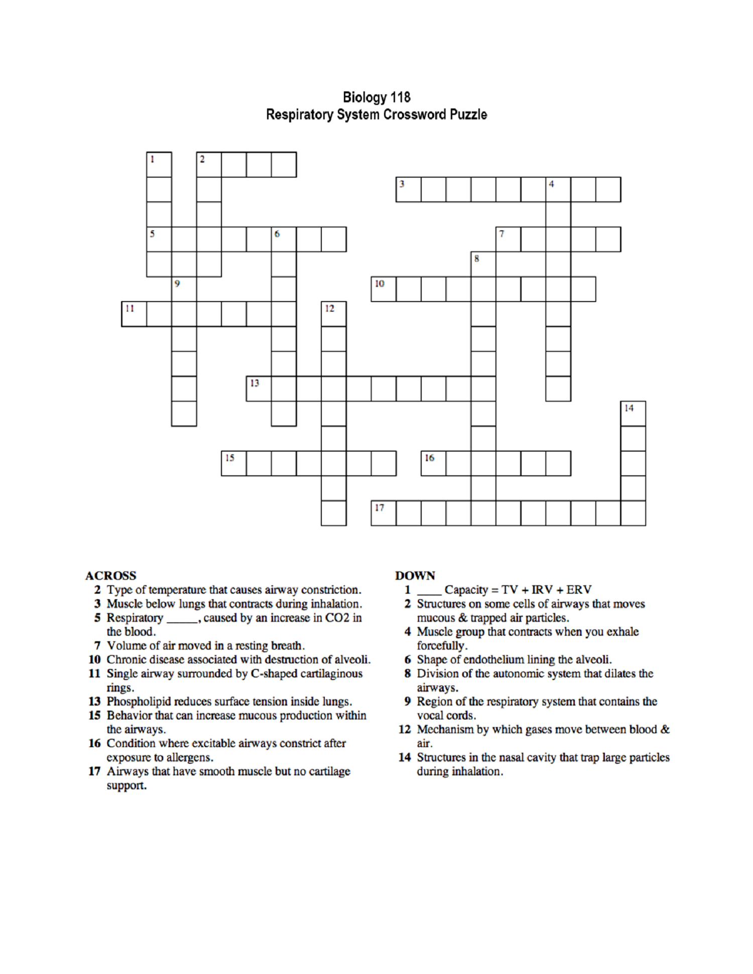 Respiratory Systems Crossword For Word Therapy | Dear Joya - Printable Automotive Crossword Puzzles