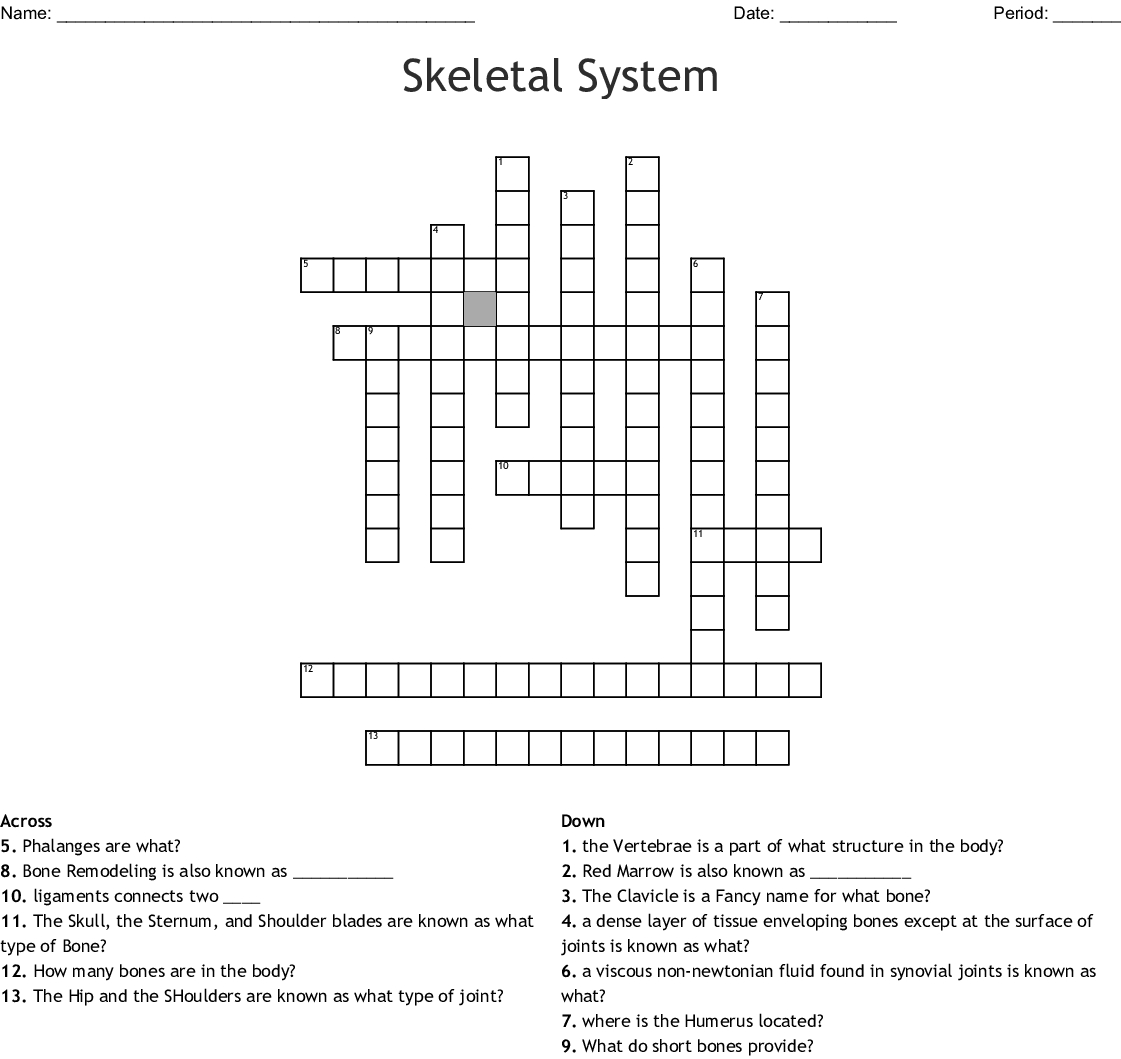 The Skeletal System Worksheet Answers Siteraven Printable Skeletal System Crossword Puzzle 