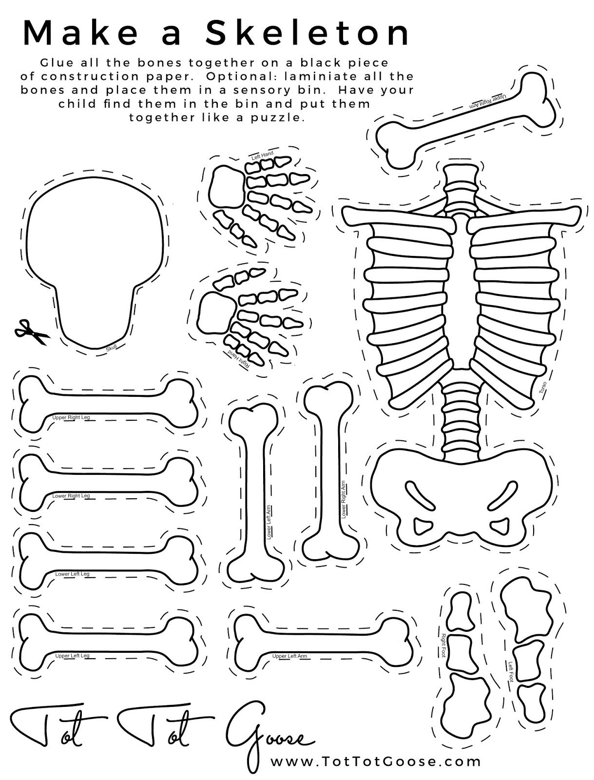 Printable Body Puzzle Printable Crossword Puzzles