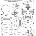 Skeleton Printable, All About Me Theme, Preschool Theme, All About   Printable Skeleton Puzzle