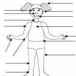 Worksheet : Bodypartworksheet Girl Parts Of The Body For Kids Part   Printable Body Puzzle
