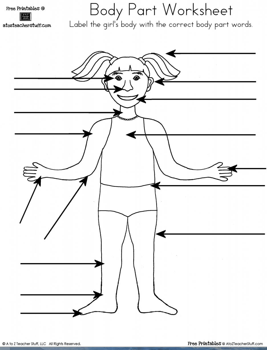 Worksheet : Bodypartworksheet Girl Parts Of The Body For Kids Part - Printable Body Puzzle